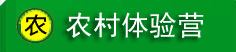 成都农村体验营7天班