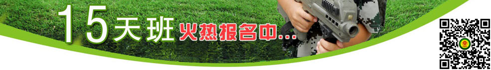 Ӫ15