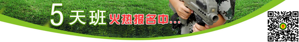 2016Ӫ5